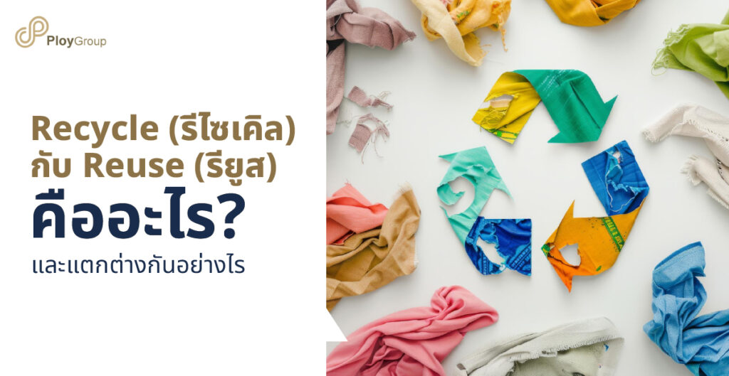 Recycle (รีไซเคิล) กับ Reuse (รียูส) คืออะไรและแตกต่างกันอย่างไร